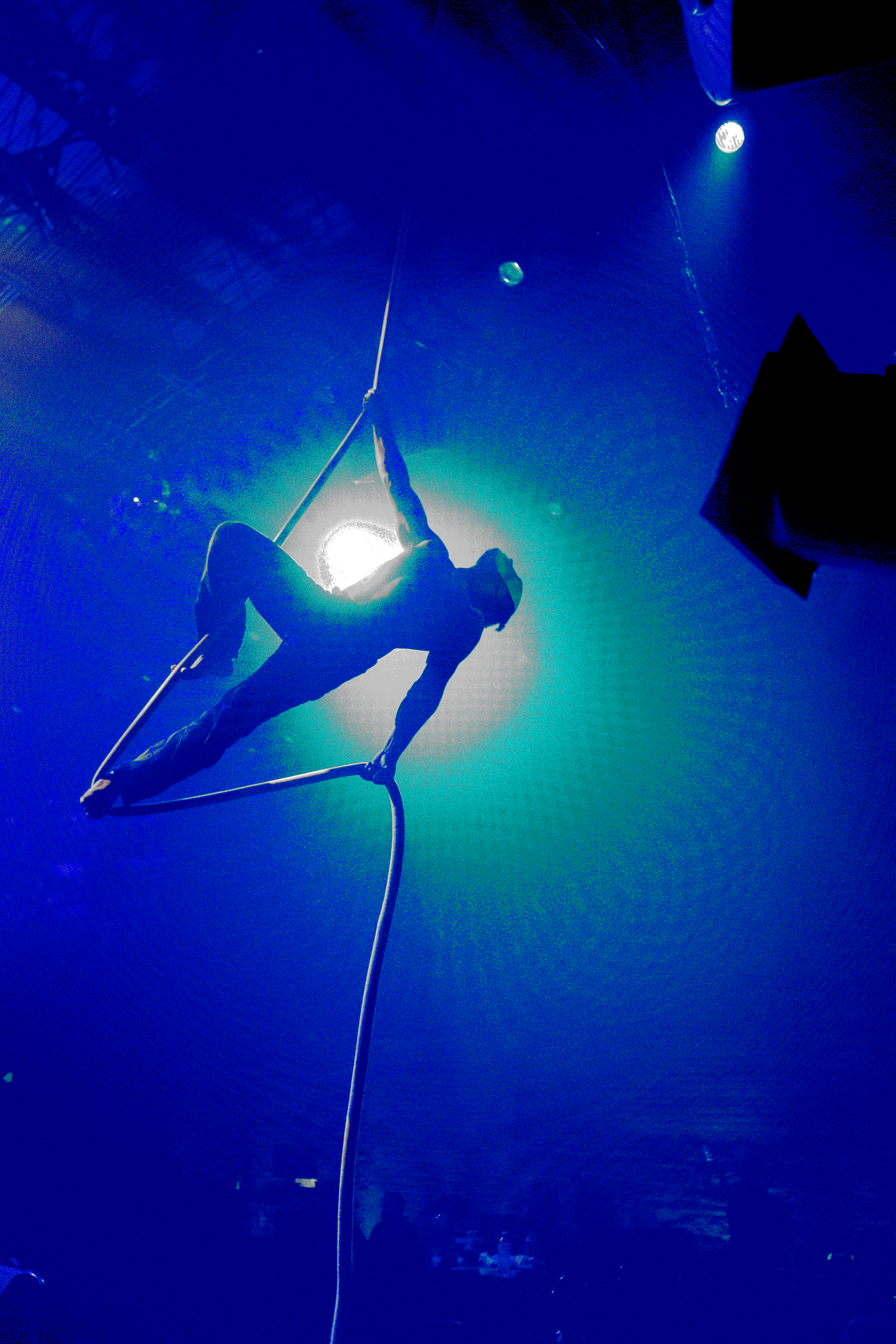 Nick Hodge performing an aerial rope number during Cabarave's Halloween show, MadHaus 2.